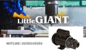Bơm hóa chất Little Giant dùng bơm hóa chất gì?