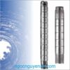 Guồng máy bơm chìm hỏa tiễn giếng khoan COVERCO 6 inch NPS6 Series